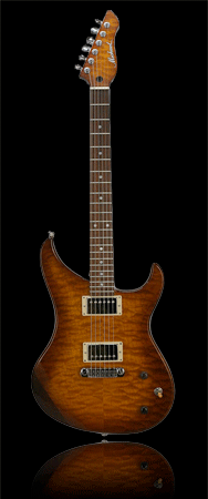 guitar